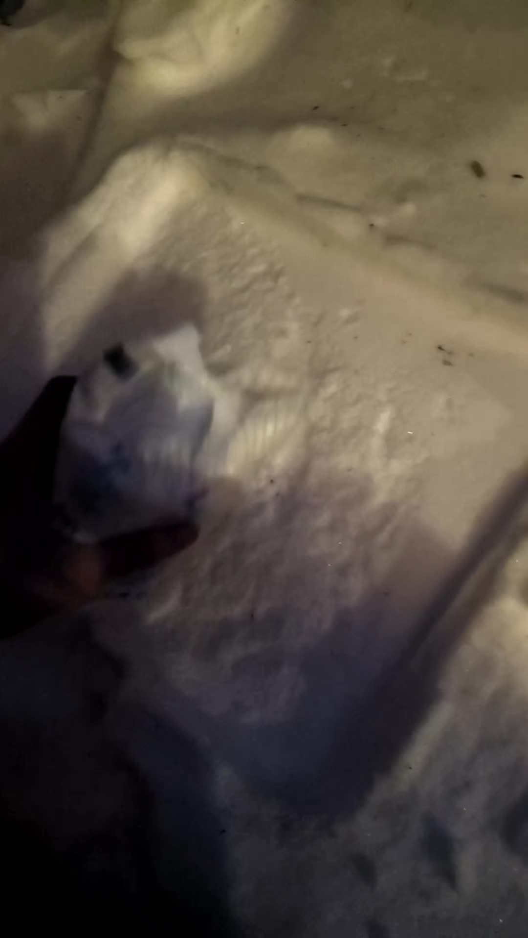 @Gincė