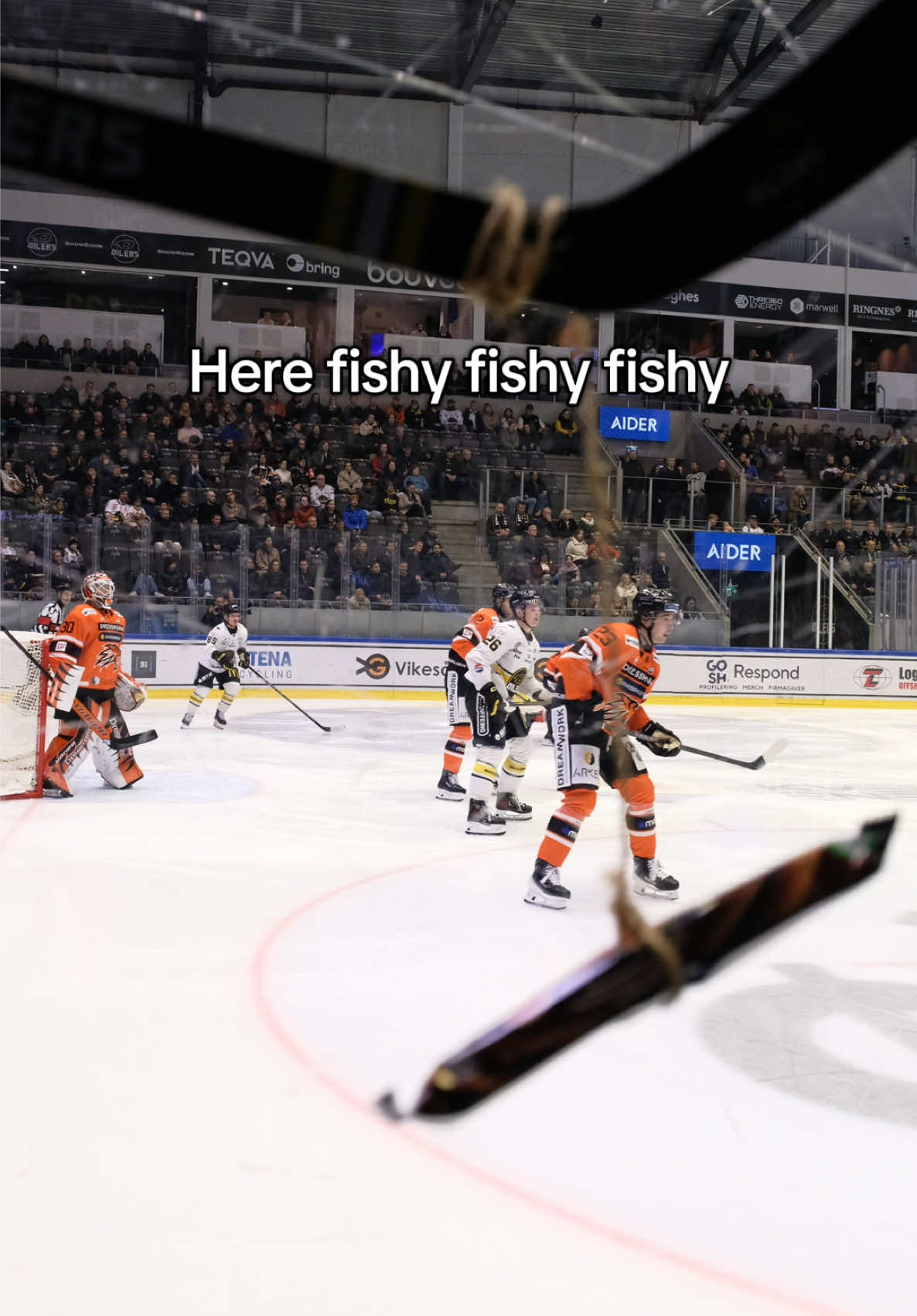 @Stavanger Oilers
