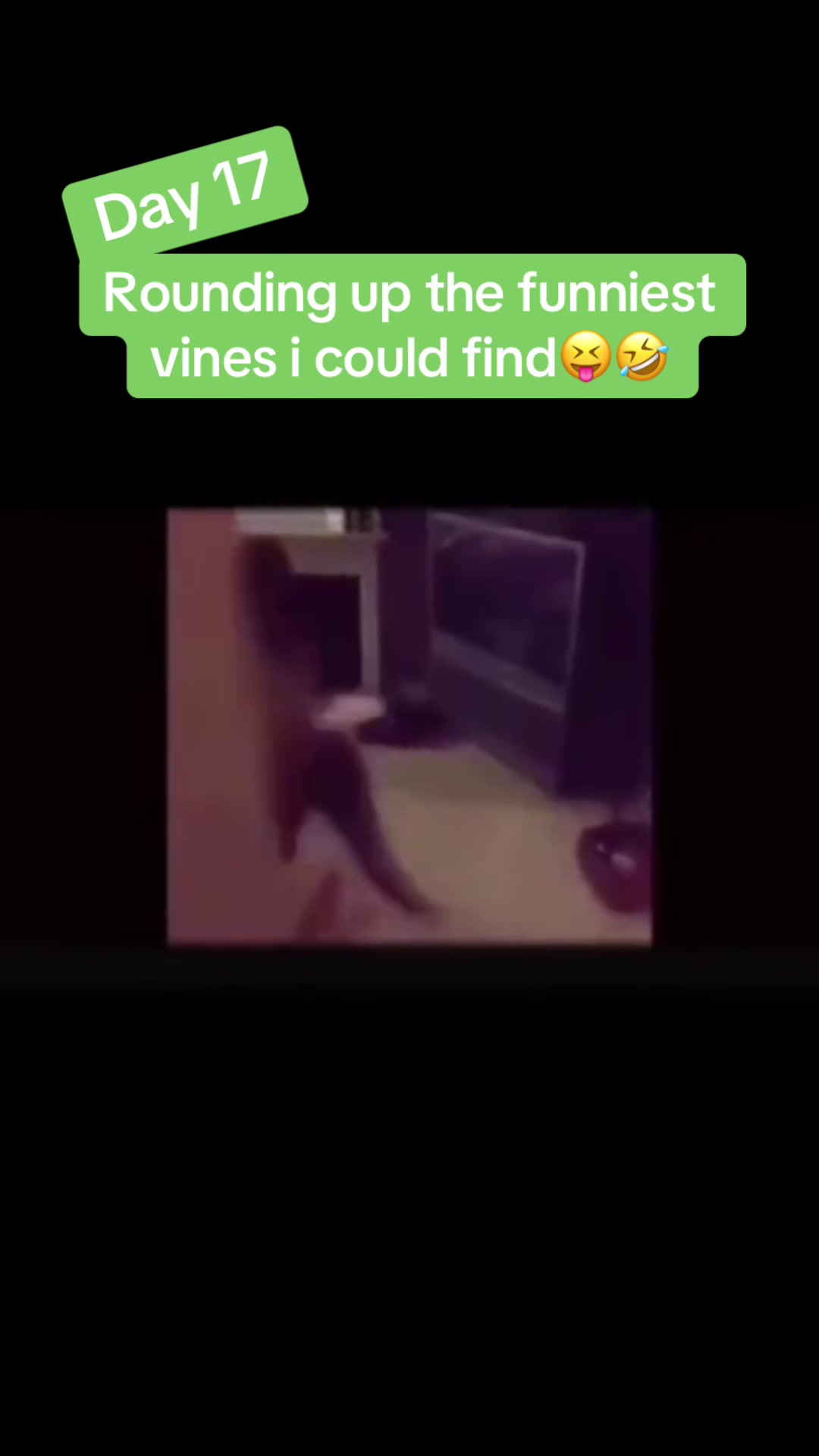 @InterestingClips76