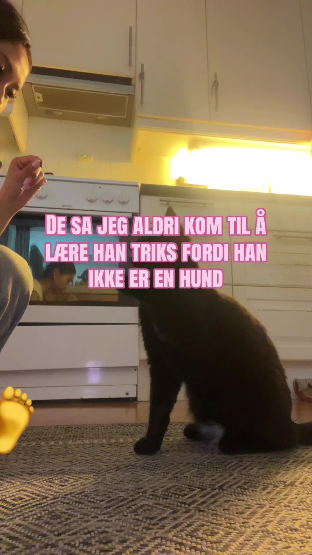 @EHWA🥂