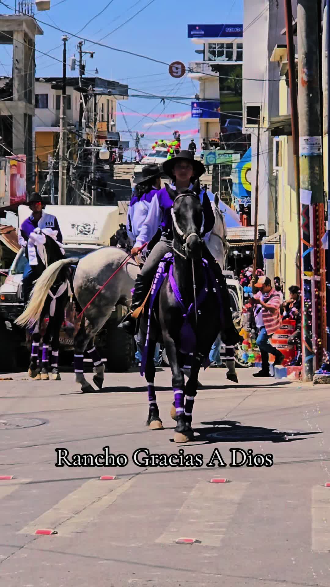 @Rancho Gracias A Dios 🐎🐅
