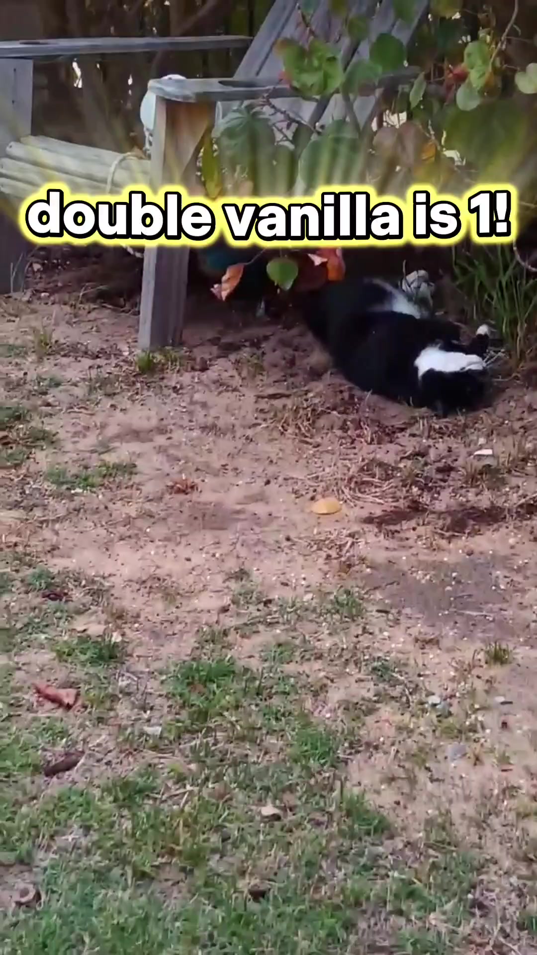@doublevanilla