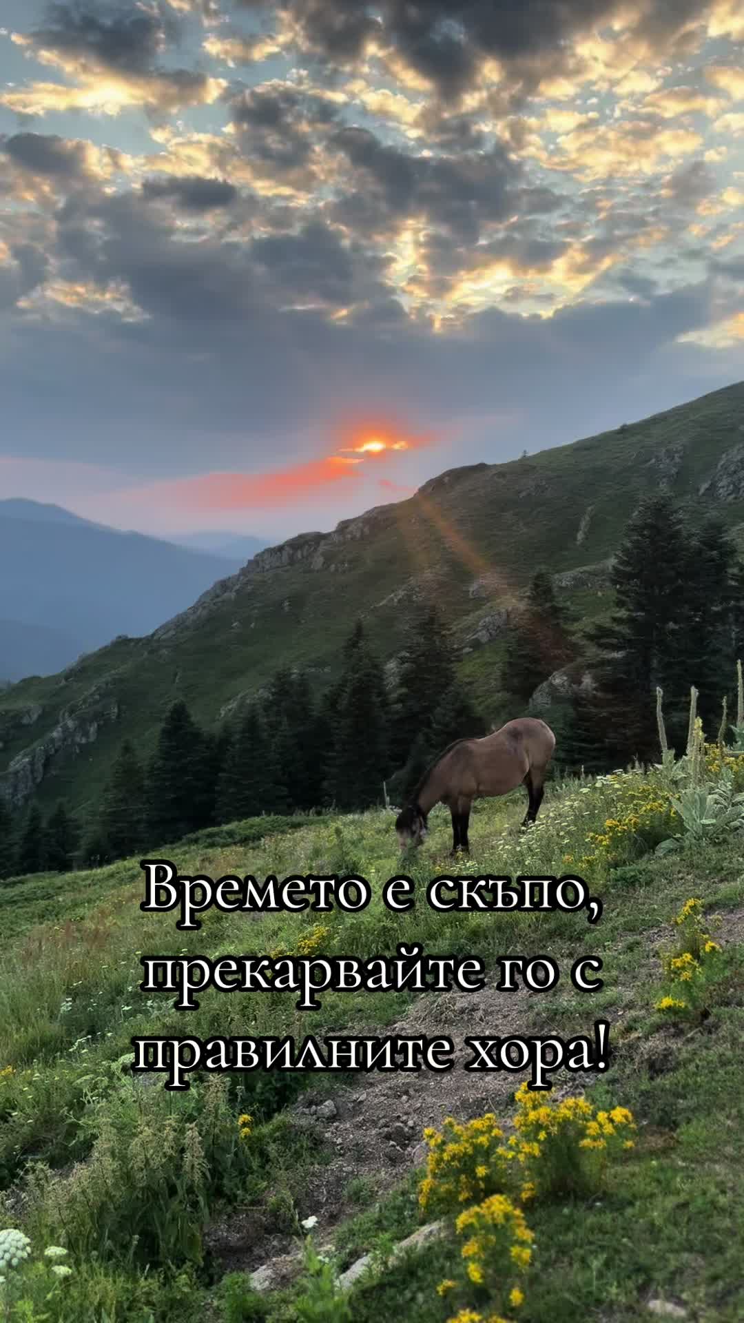 @TihomirD