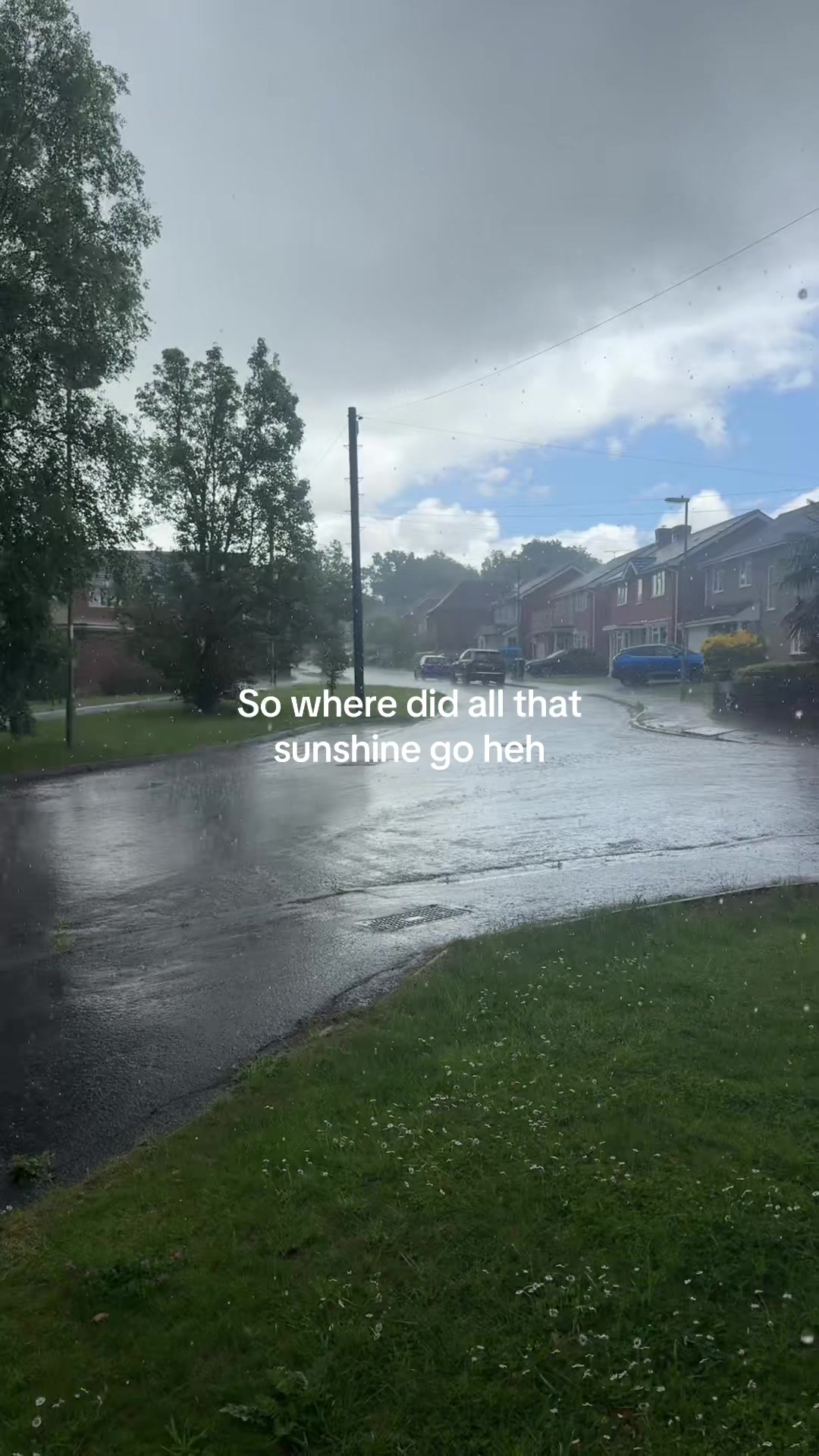 @fionaspam🕷️