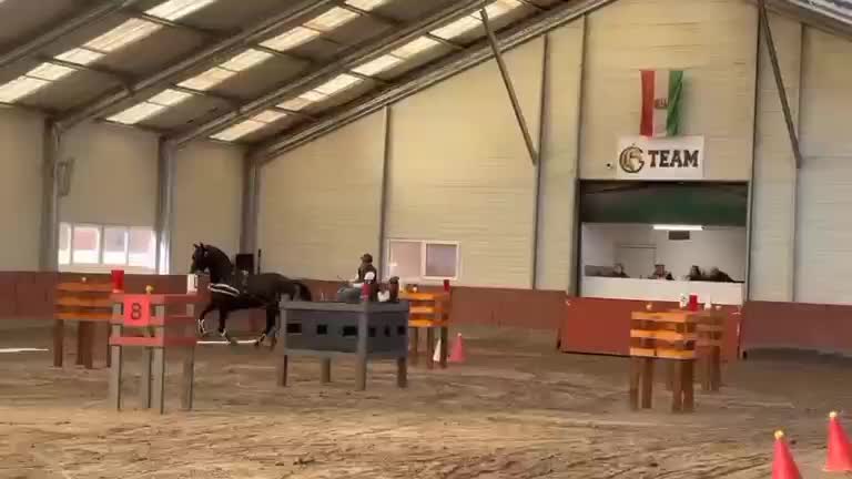 @G&aacute;bor