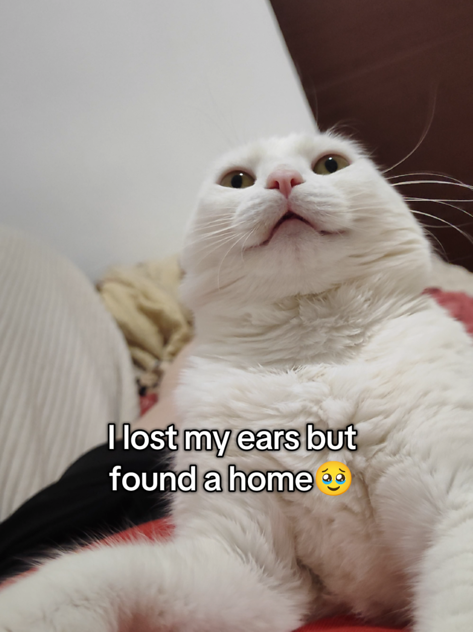 @Fluffy and Pixie