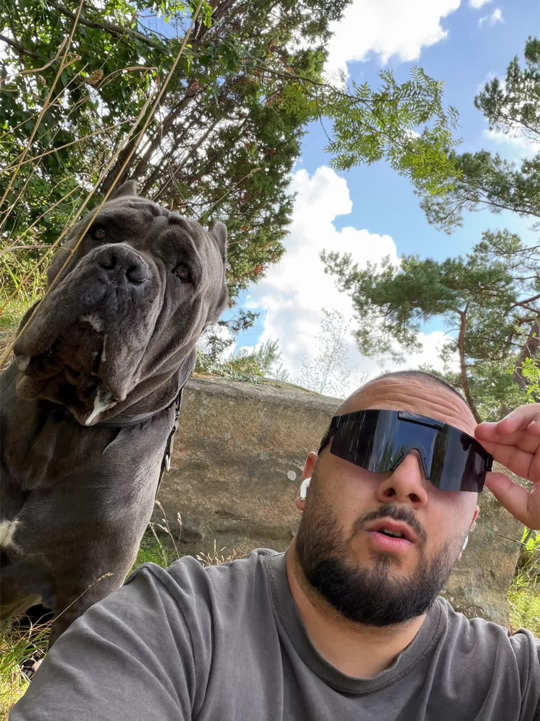 @CaneCorsoAres