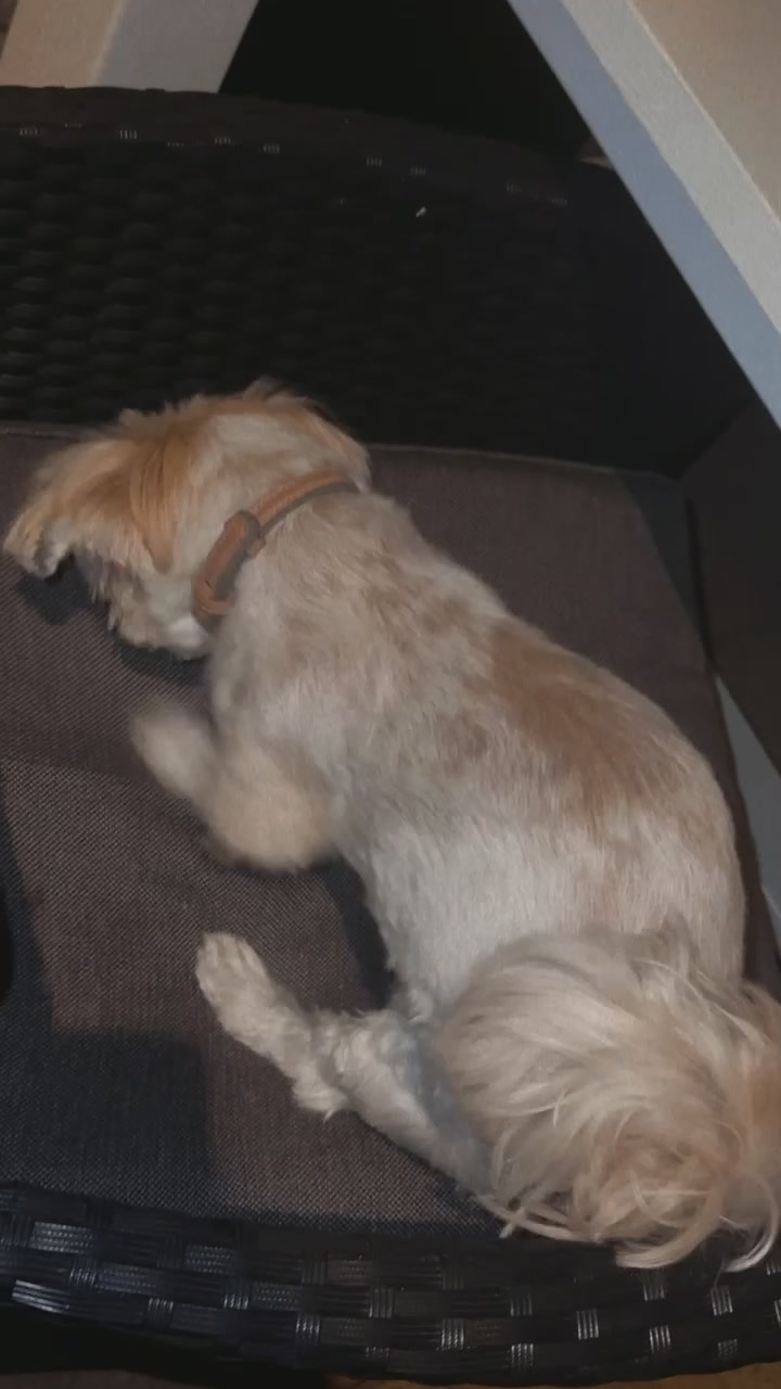 @𝐴𝑛𝑜𝑢𝑘