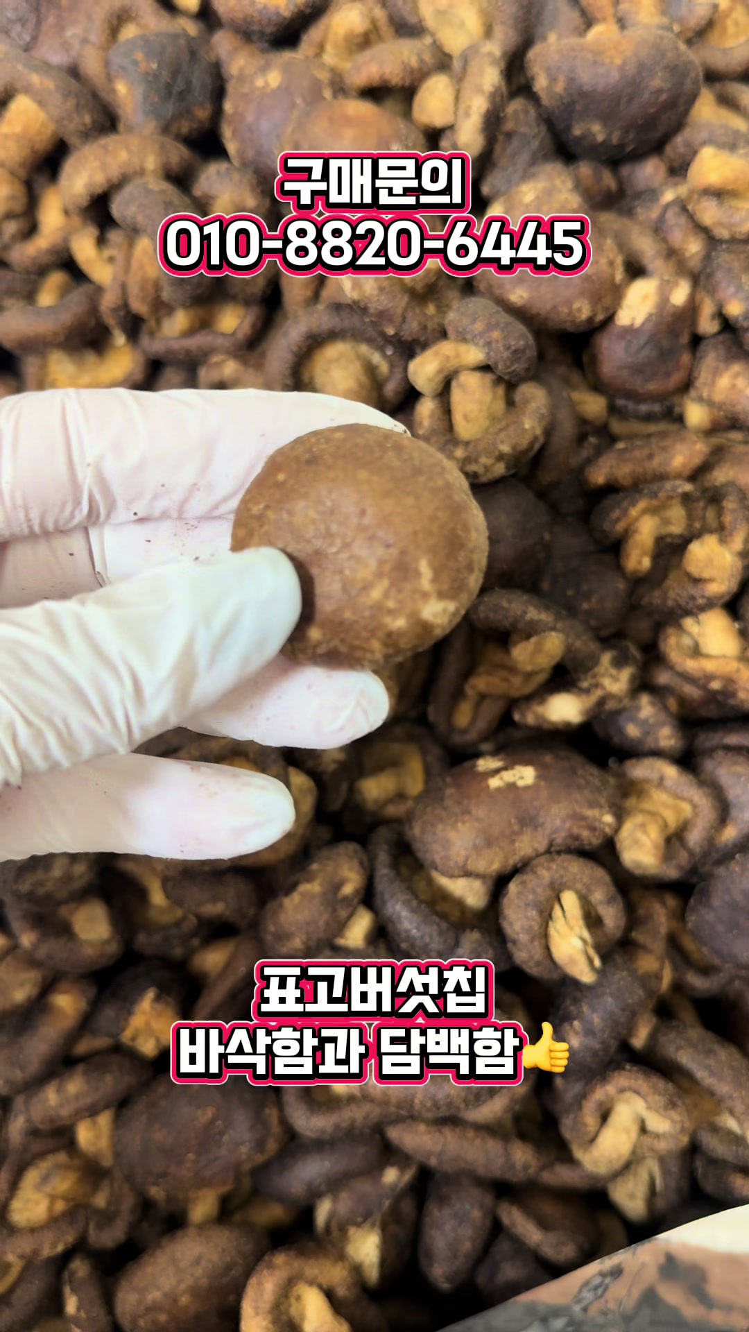 @숭사장건어물(숭사장오징어)🦑
