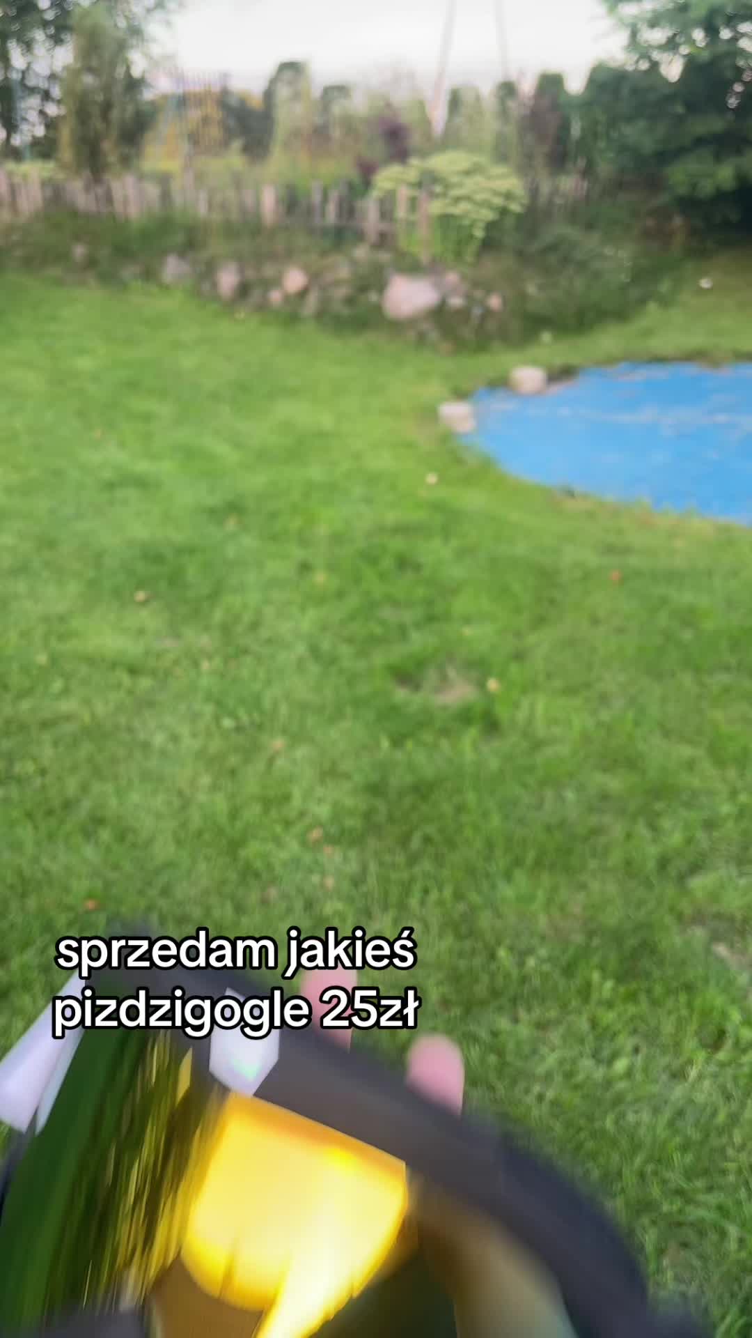 @nexi.exi
