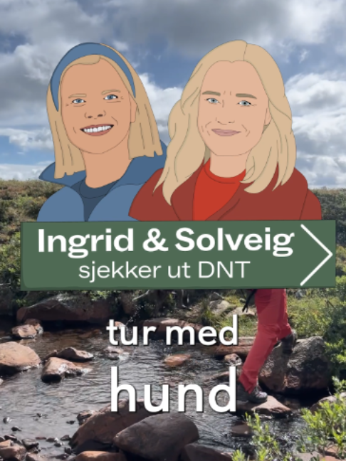 @DNT