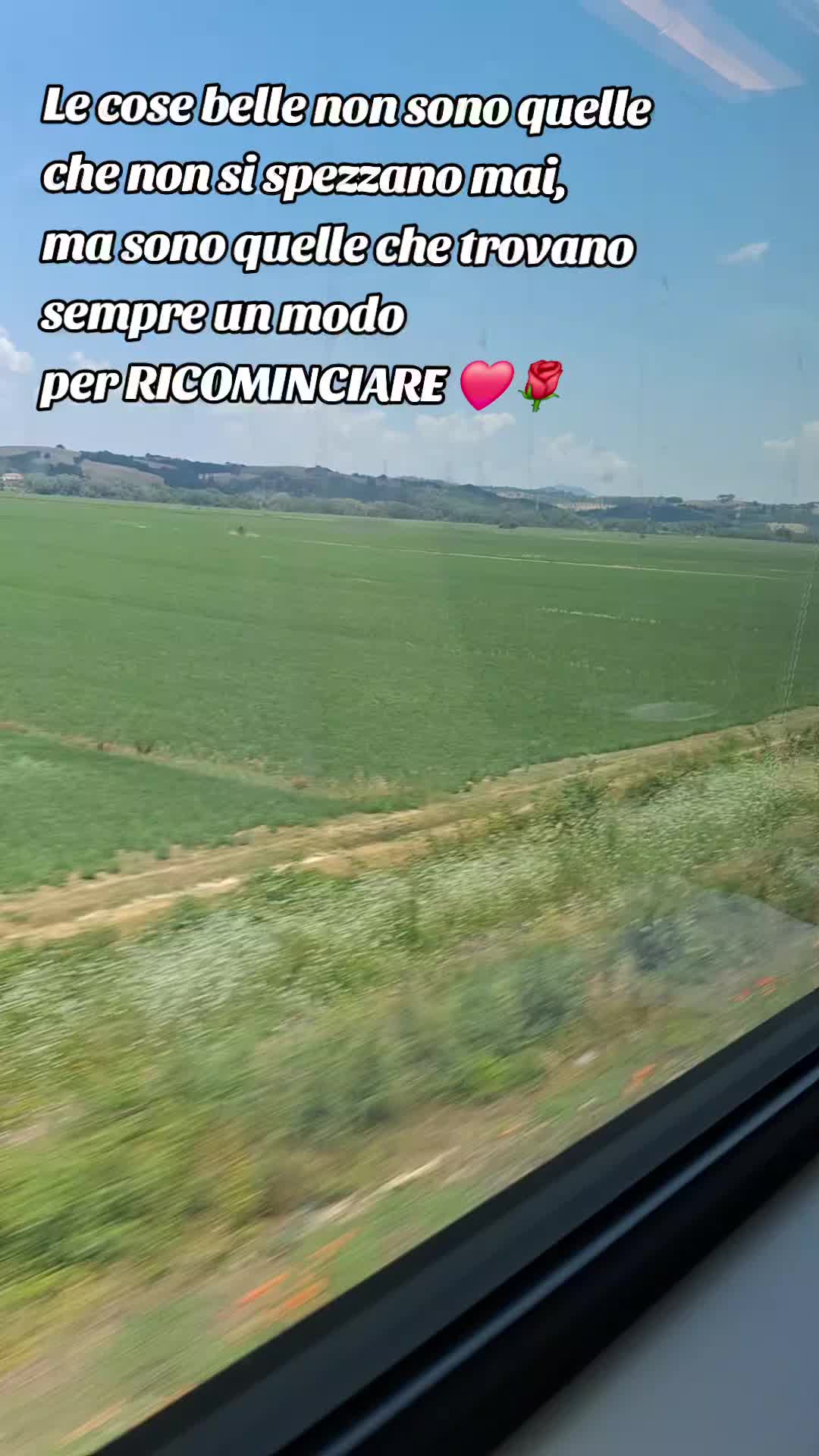 @Emilia Grieco