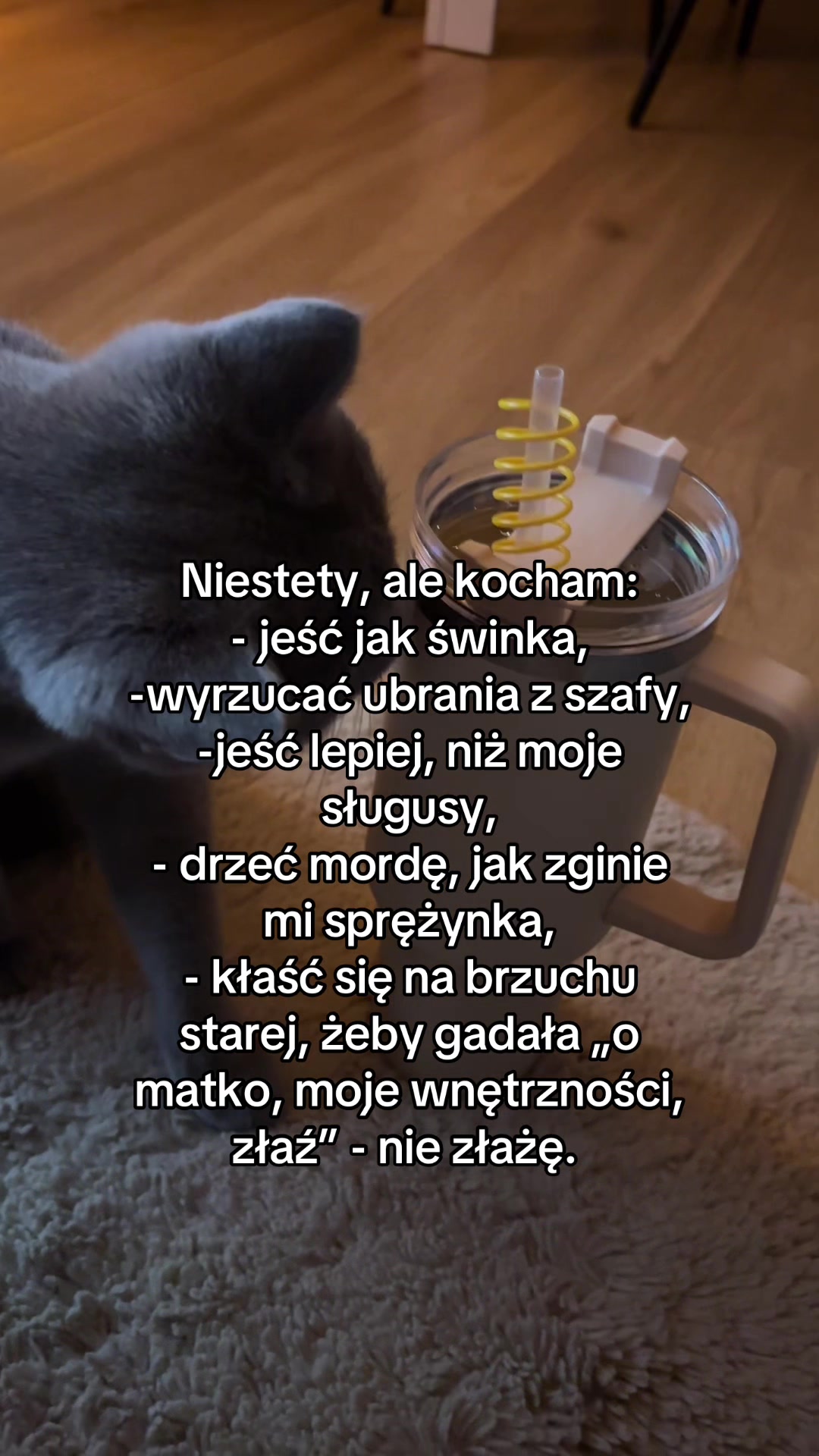 @𝓟𝓪𝓽𝓲