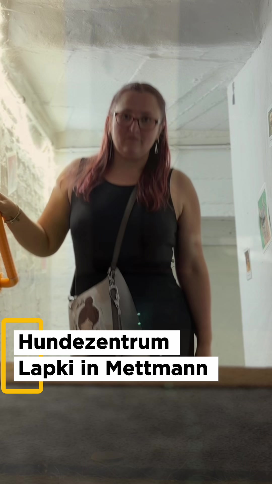 @Olesia • Hundezentrum Lapki