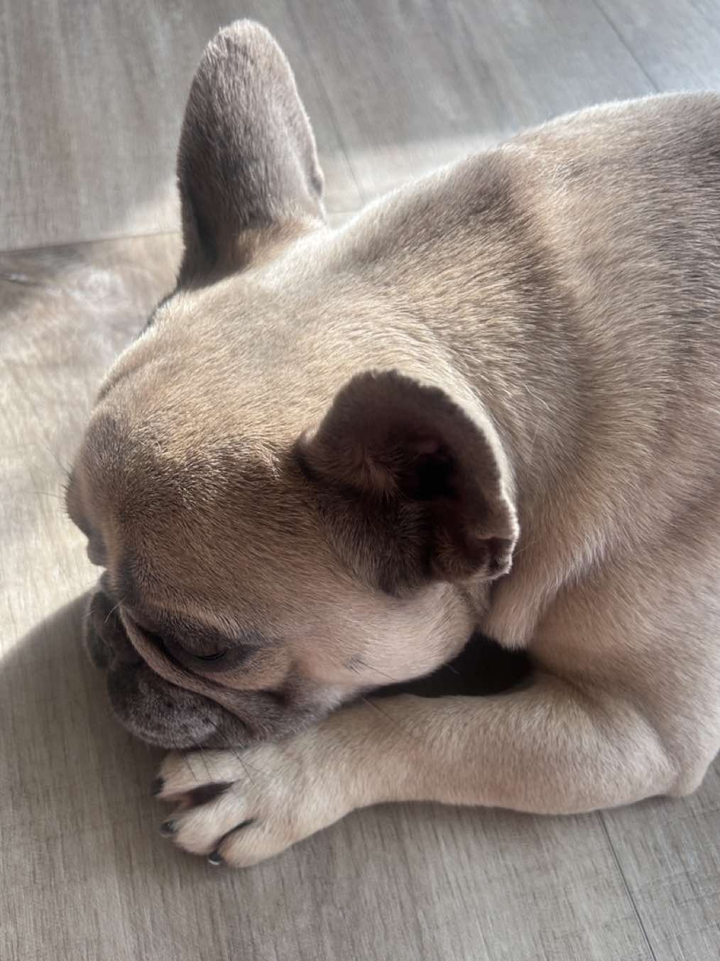 @Petswcourt