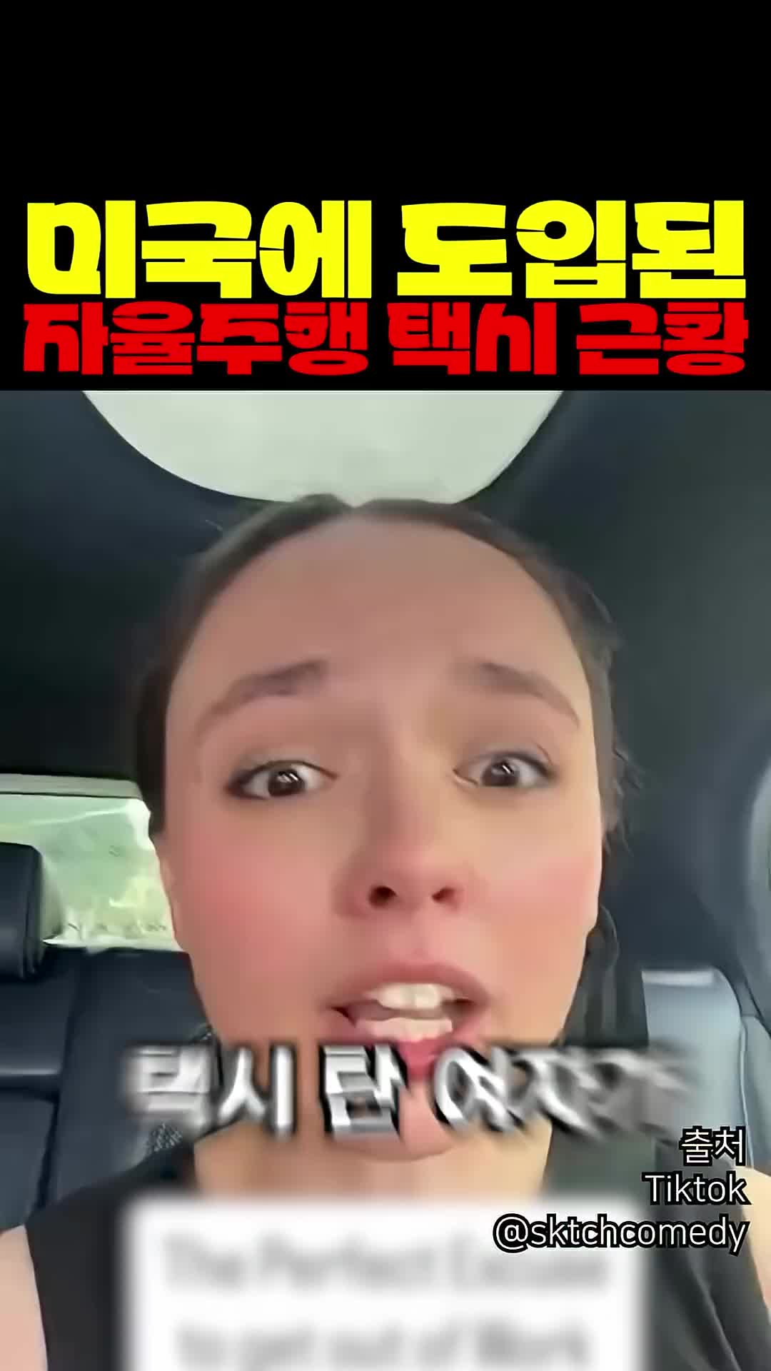 @짱아까미