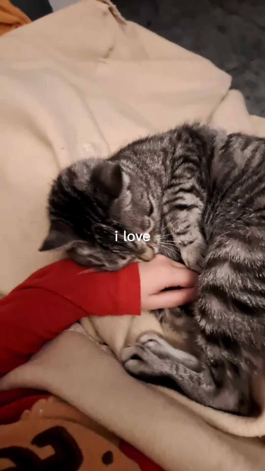 @lorenikaa💕