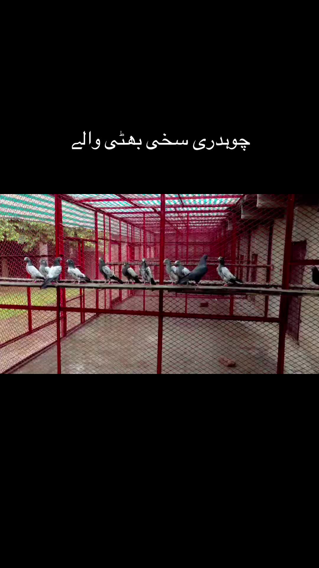 @❤️ راسب انصاری