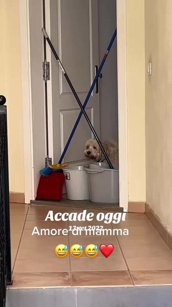 @Micina— annamaria