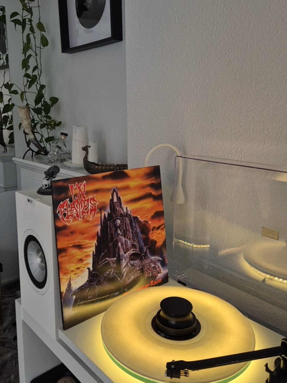 @r.vinylcollector