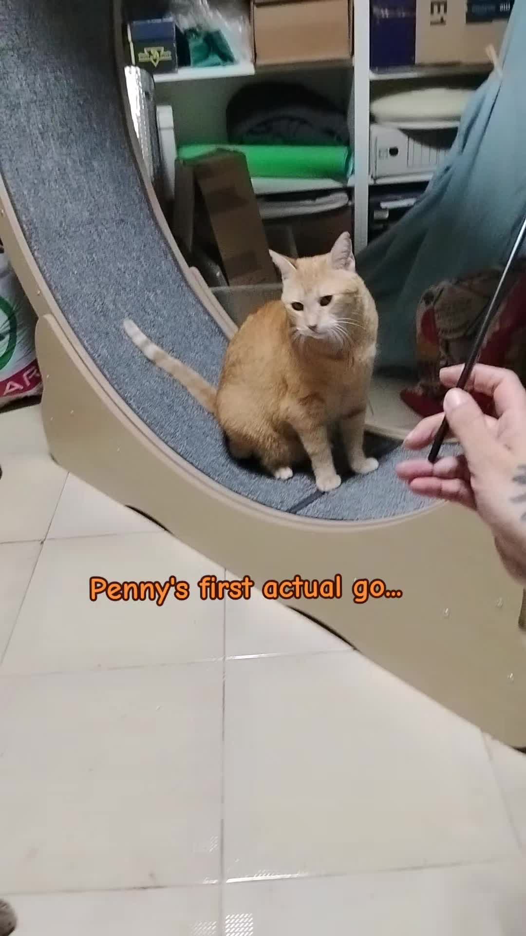 @Mon