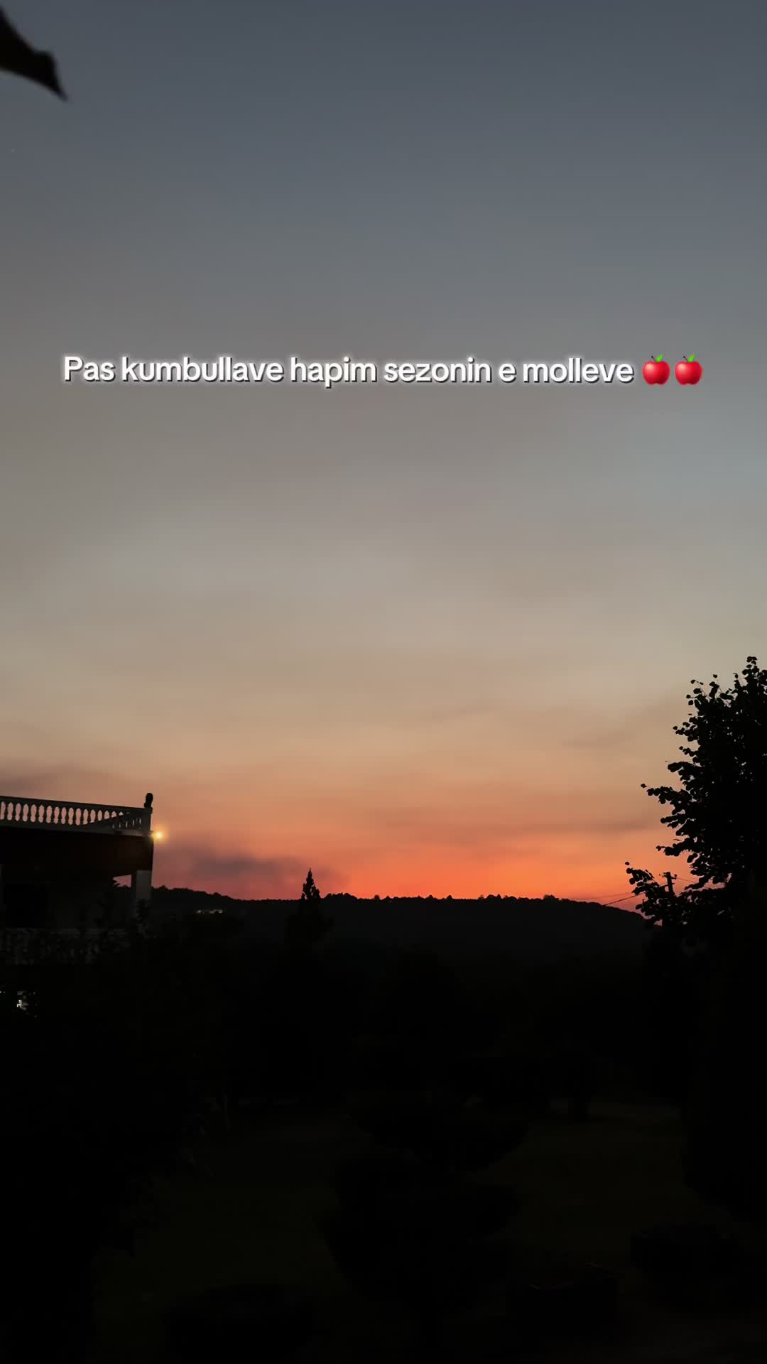@lorihoxha