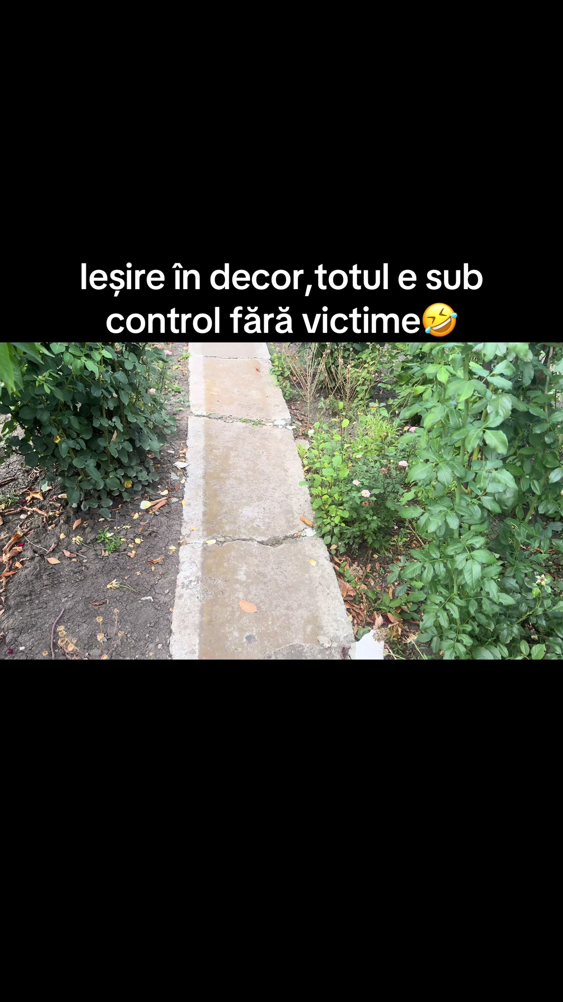 @🇹🇩O_V_I_D_I_U