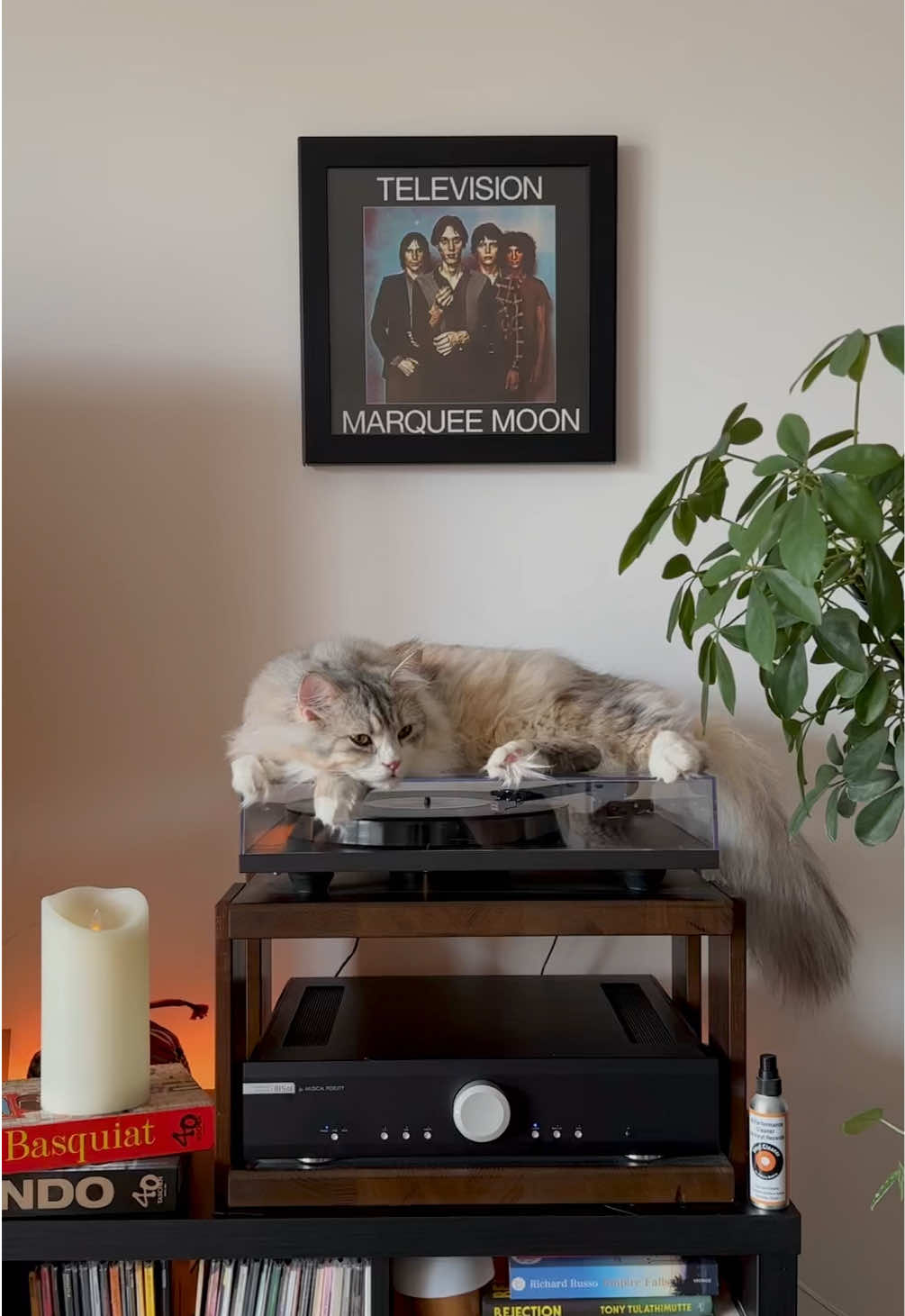 @Leon The Vinyl Cat