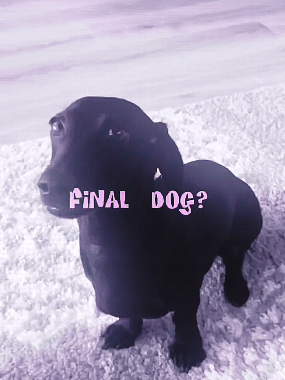 @๐ท๐ด