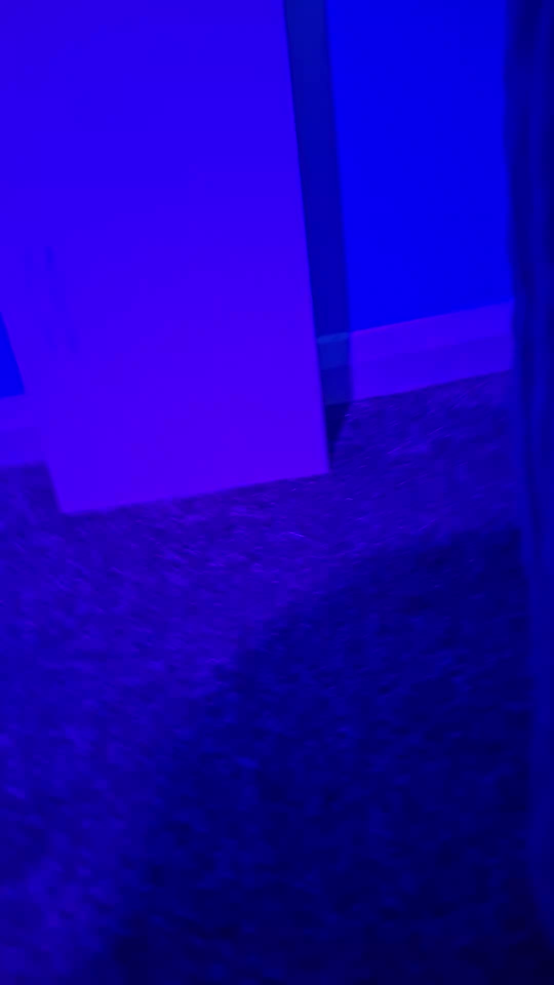@digital plush production