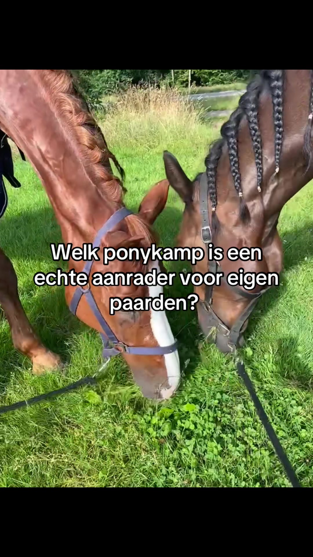 @🇳🇱Madelief🇳🇱