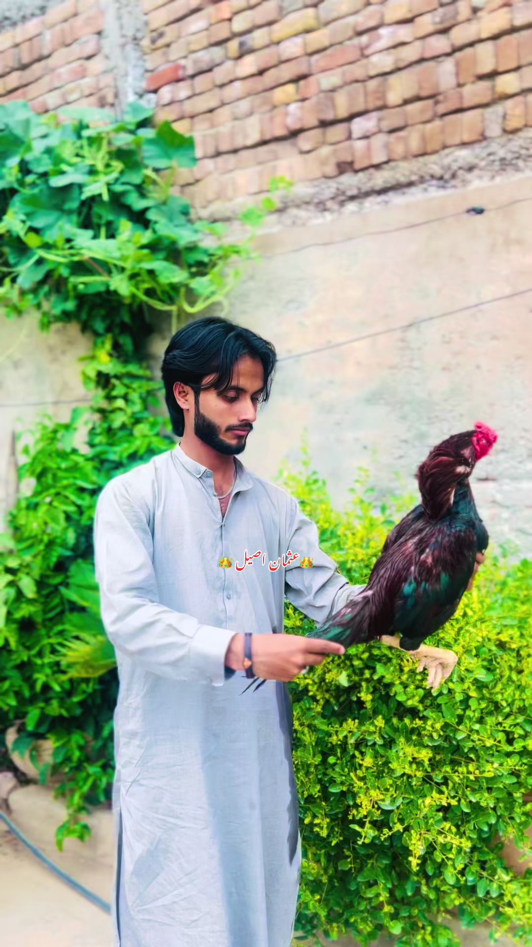 @👑عثمان اصیل 👑