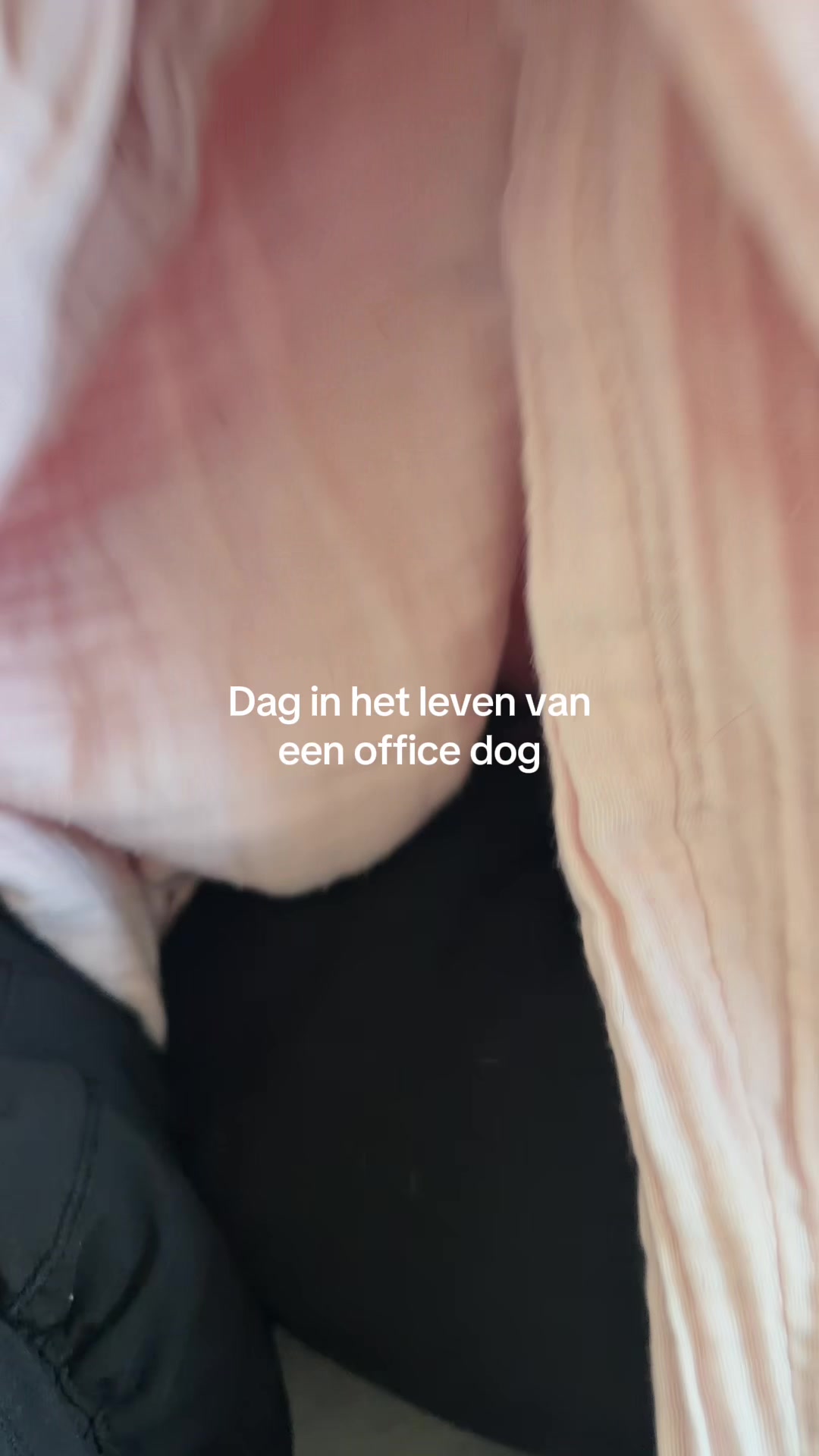 @Justfeelgood