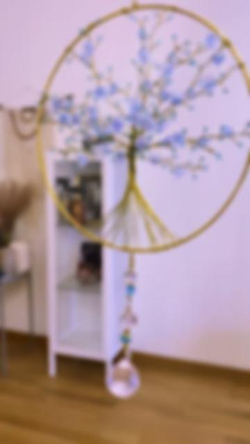 @Mandy˗ˏˋ𖣂❀ˎˊ˗