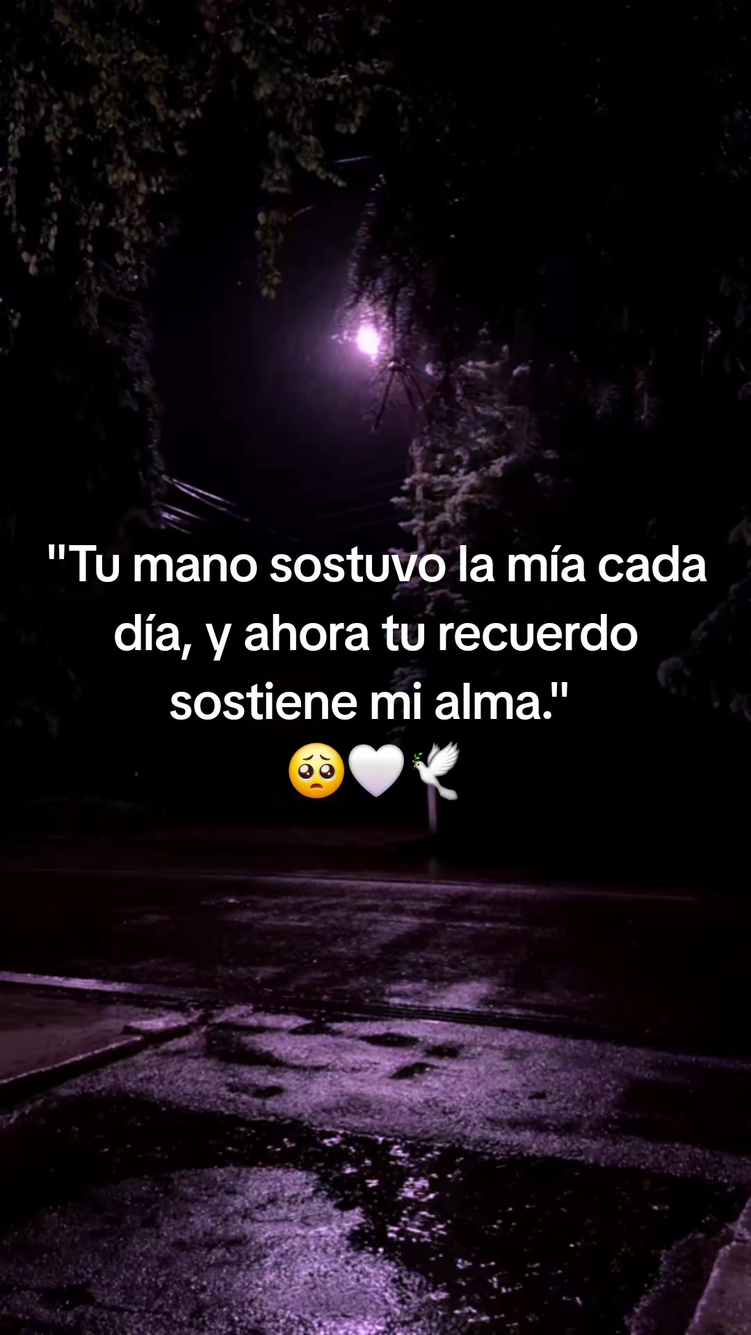 @SUE-VIDEOS