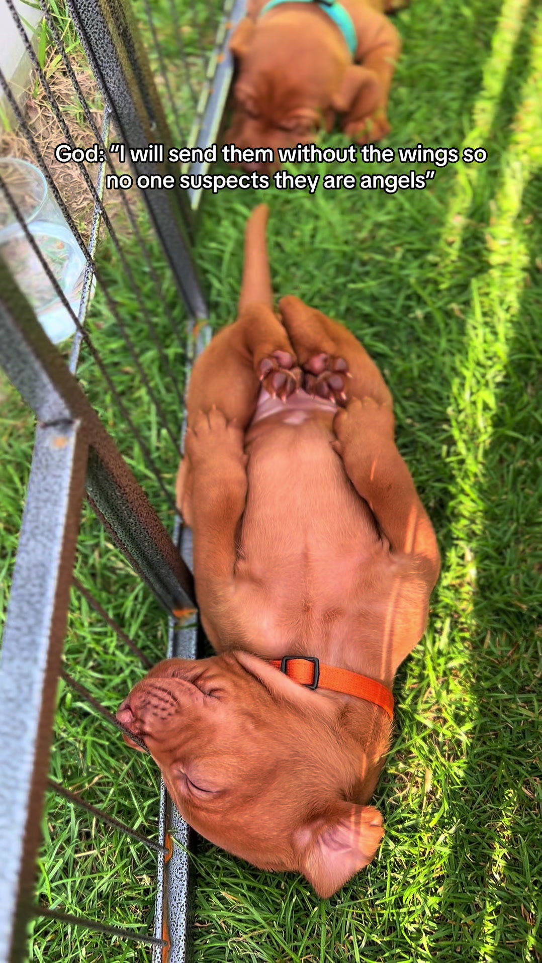 @𝐋𝐮𝐧𝐚