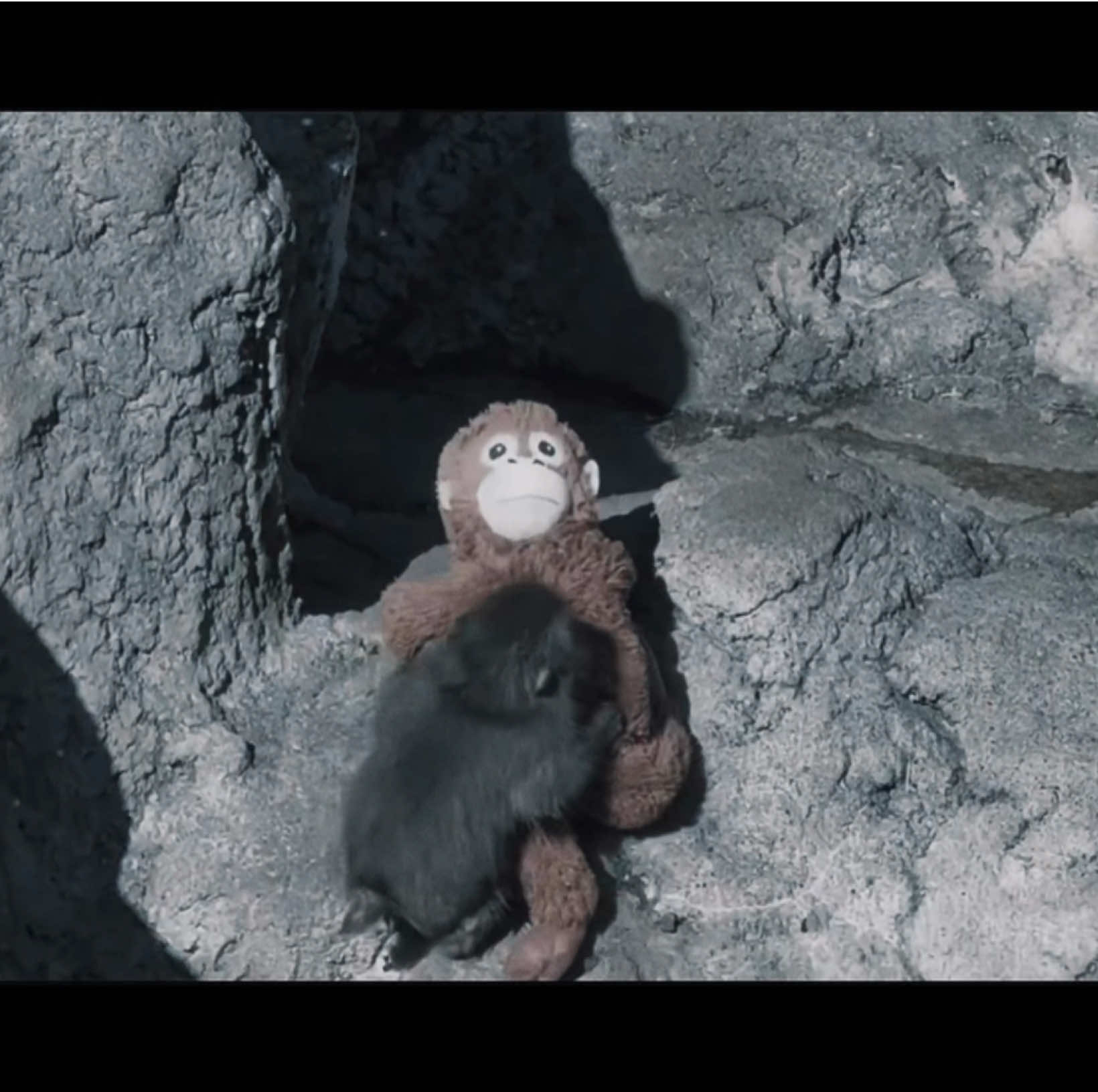 @evangelinecut.vfx