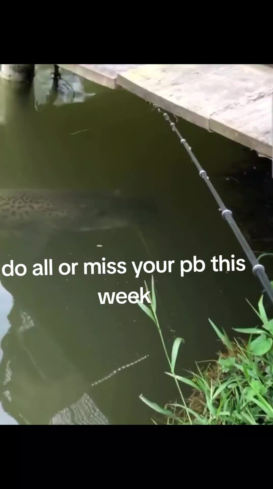 @fishing