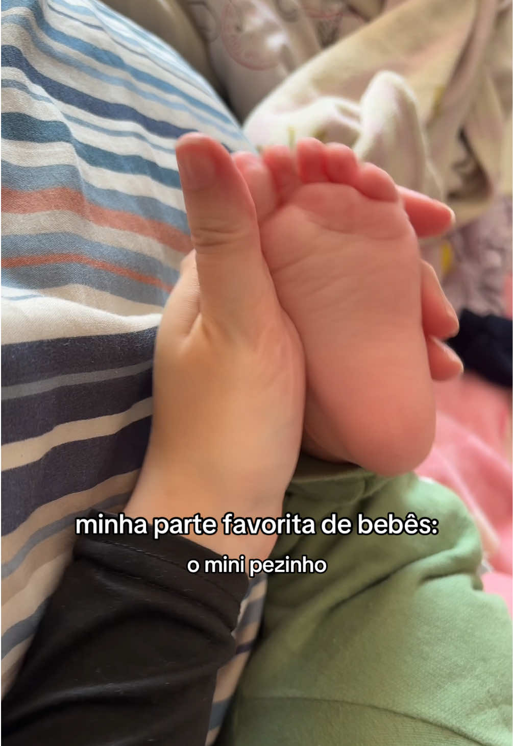 @bibis