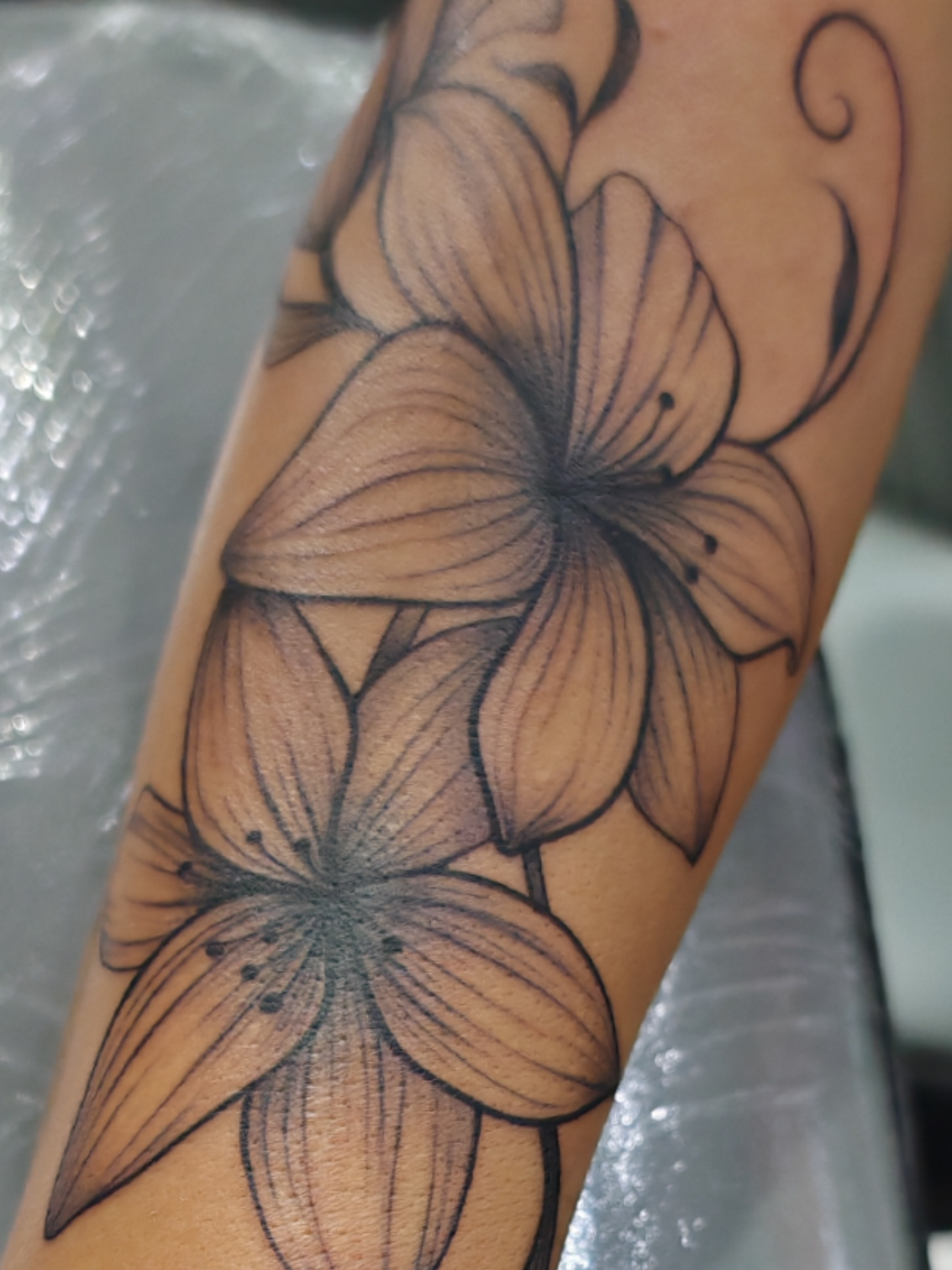 @Julio Arg&uuml;elles Tatuador
