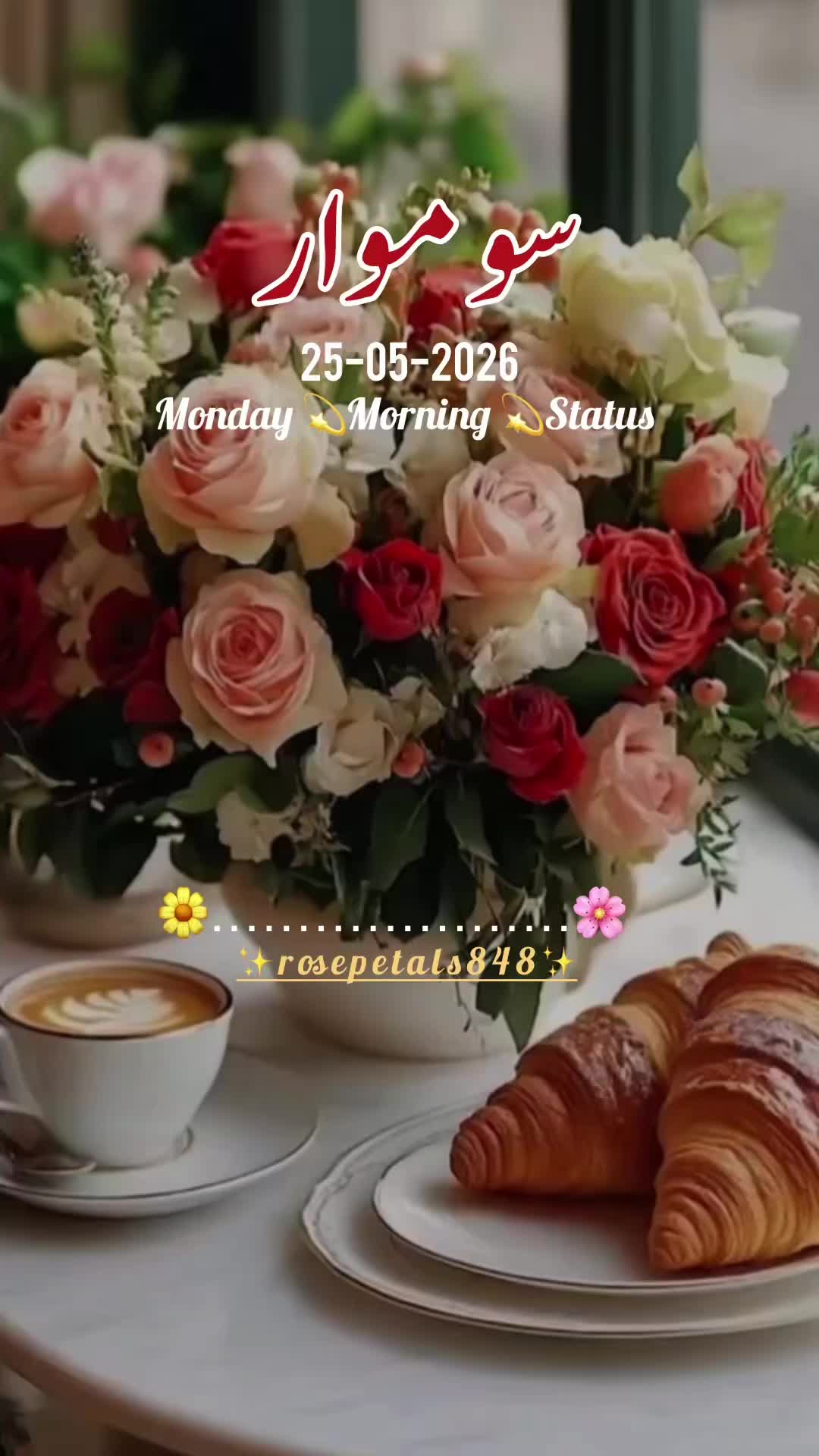 @👈🕋💚rosepetals848🤍🕌👈