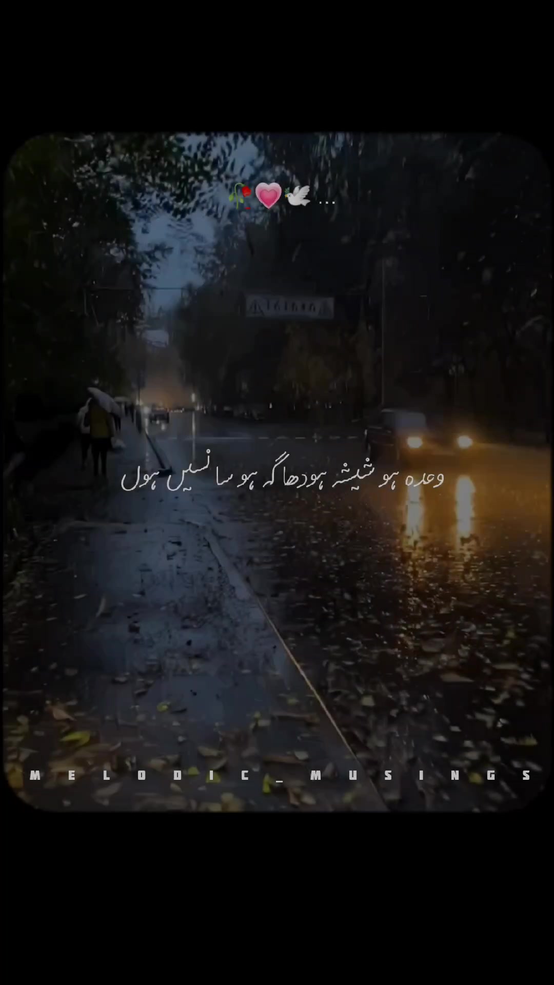 @Melodic Musings🎧🥀