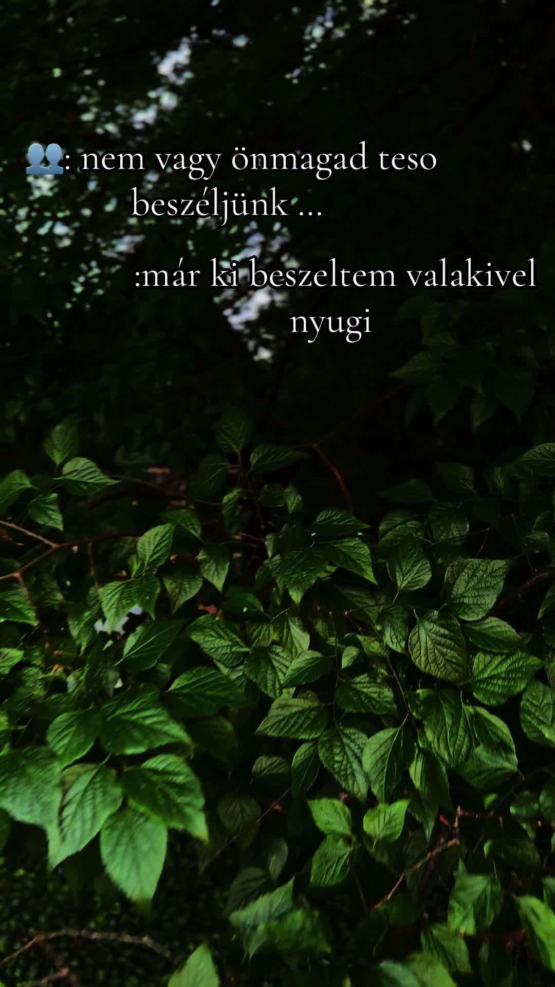 @Gábor Vaskó
