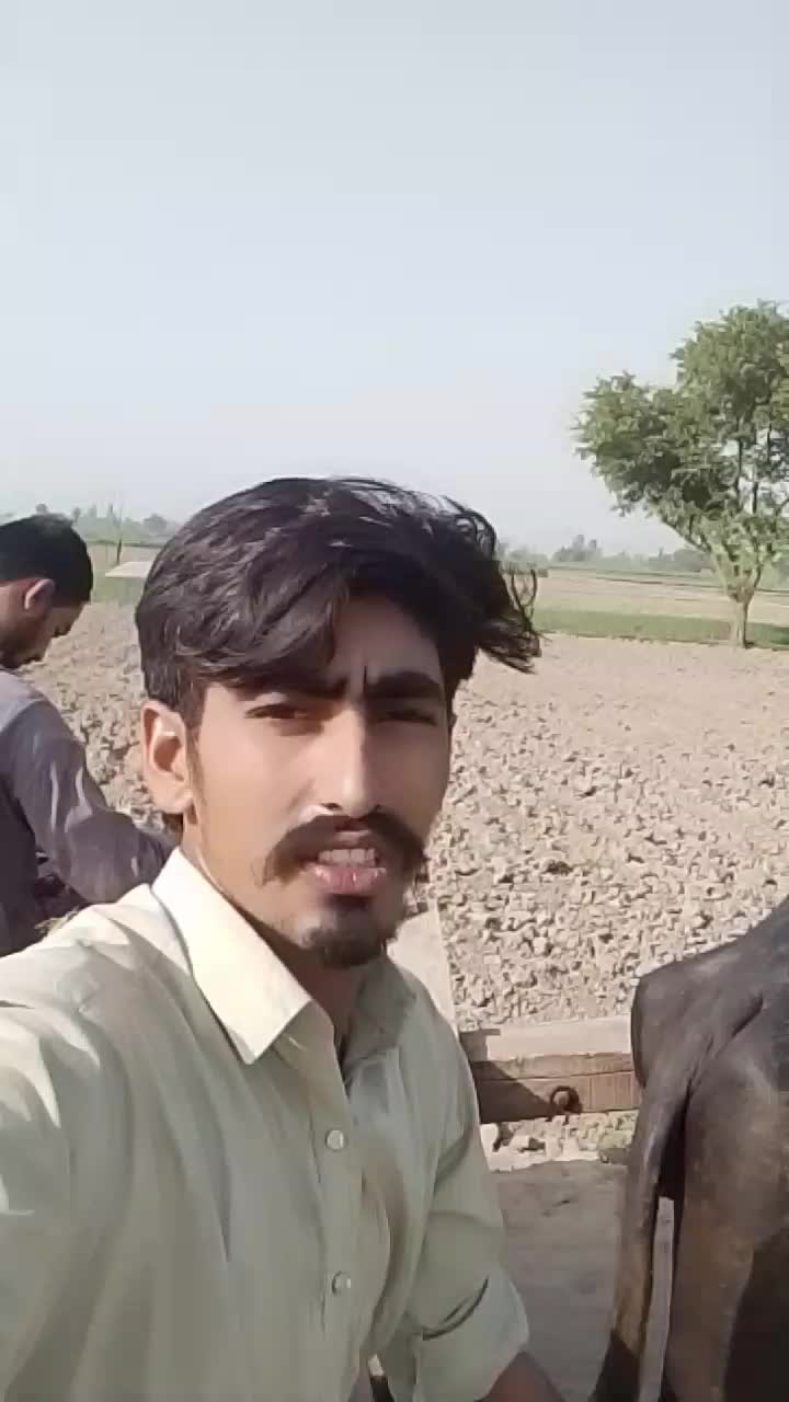 @Rehan Khan🇦🇺