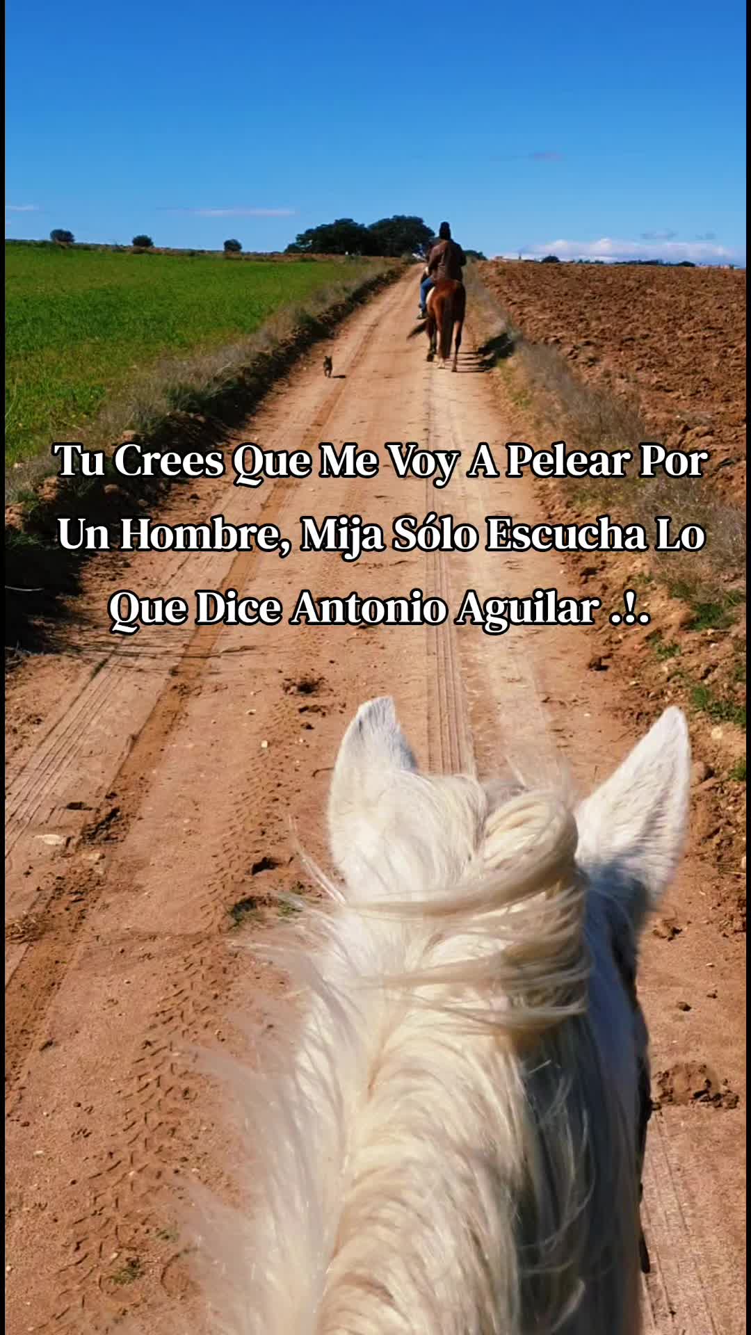 @Sey_Sevilla💙🤍💙