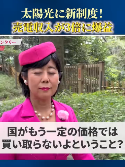 @ピンク社長の太陽光投資が最強