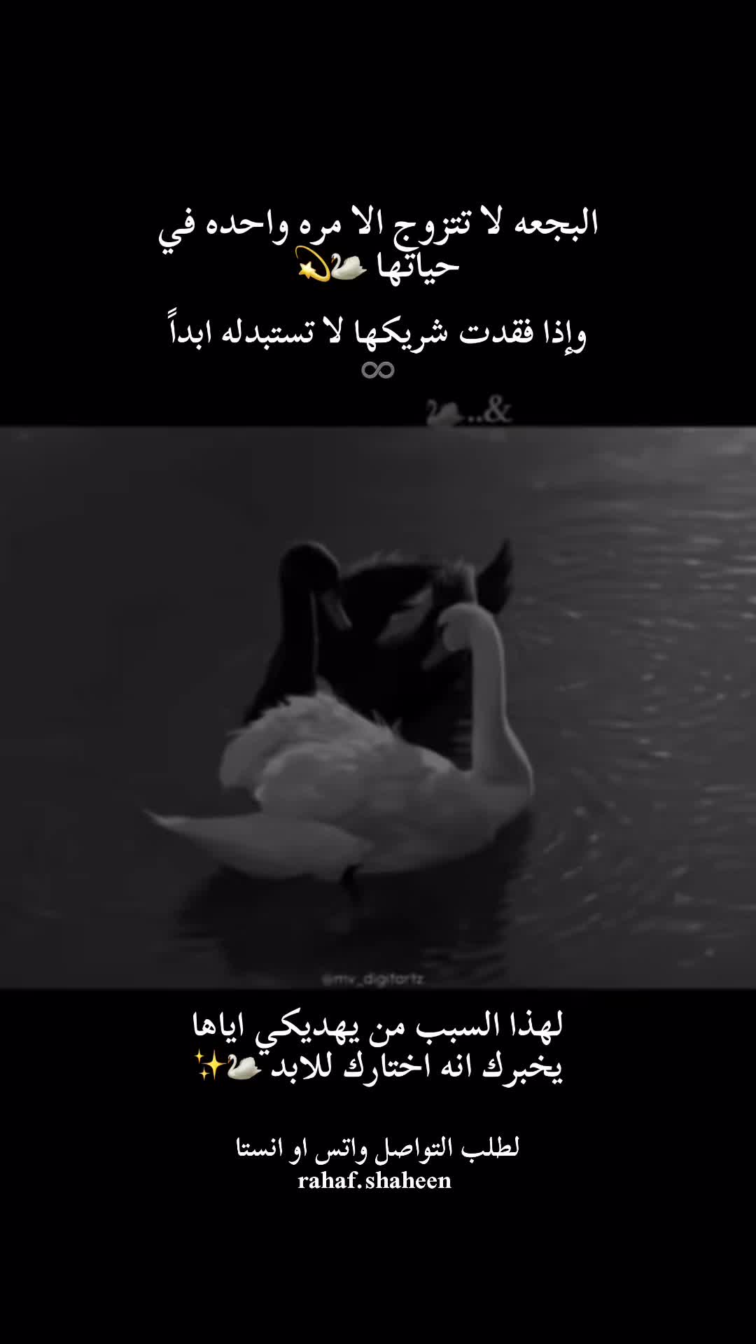 @rahaf.shaheen