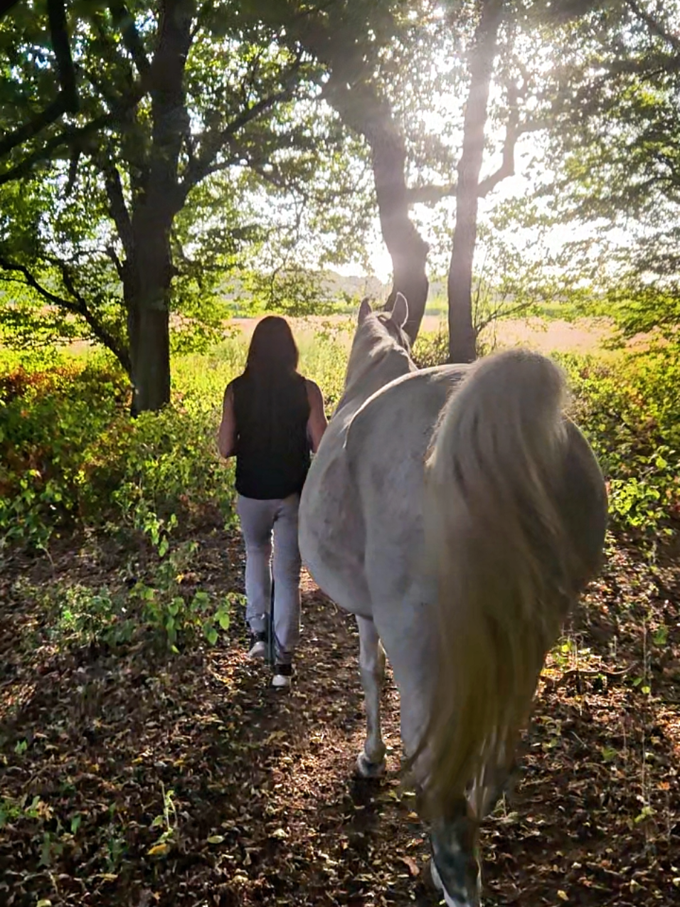 @Another_sunrise_farm