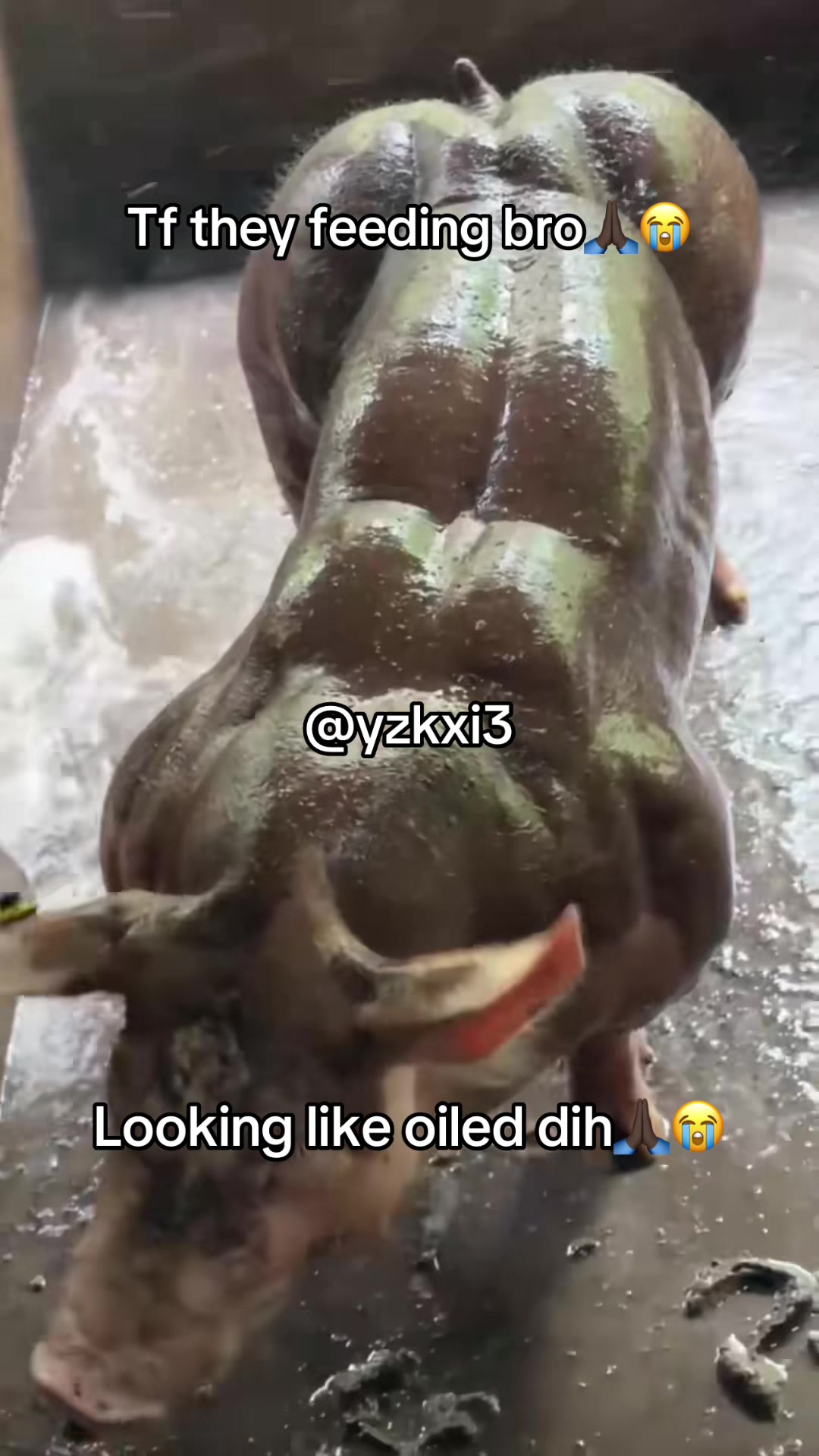 @yzkxi3