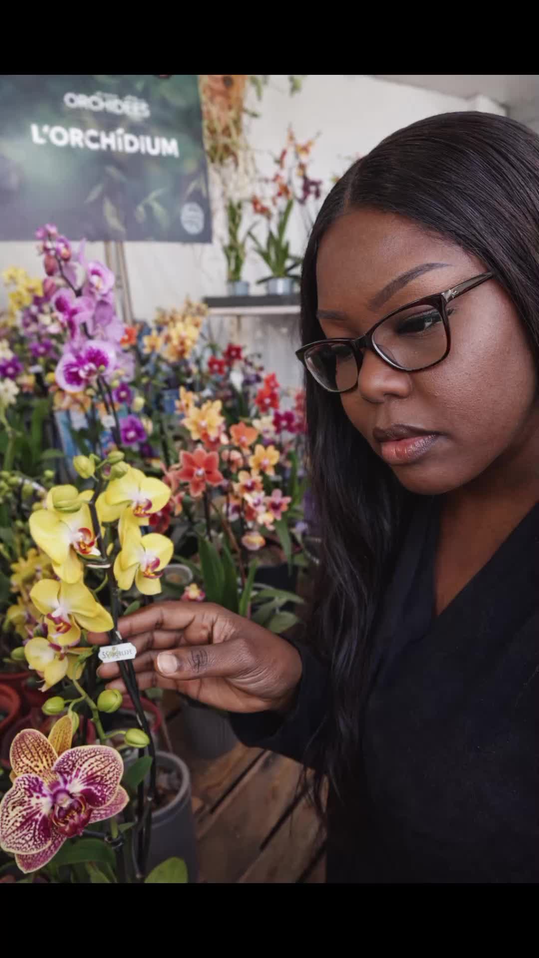 @🌿🌺🌿Orchid Mama 🌿🌺🌿
